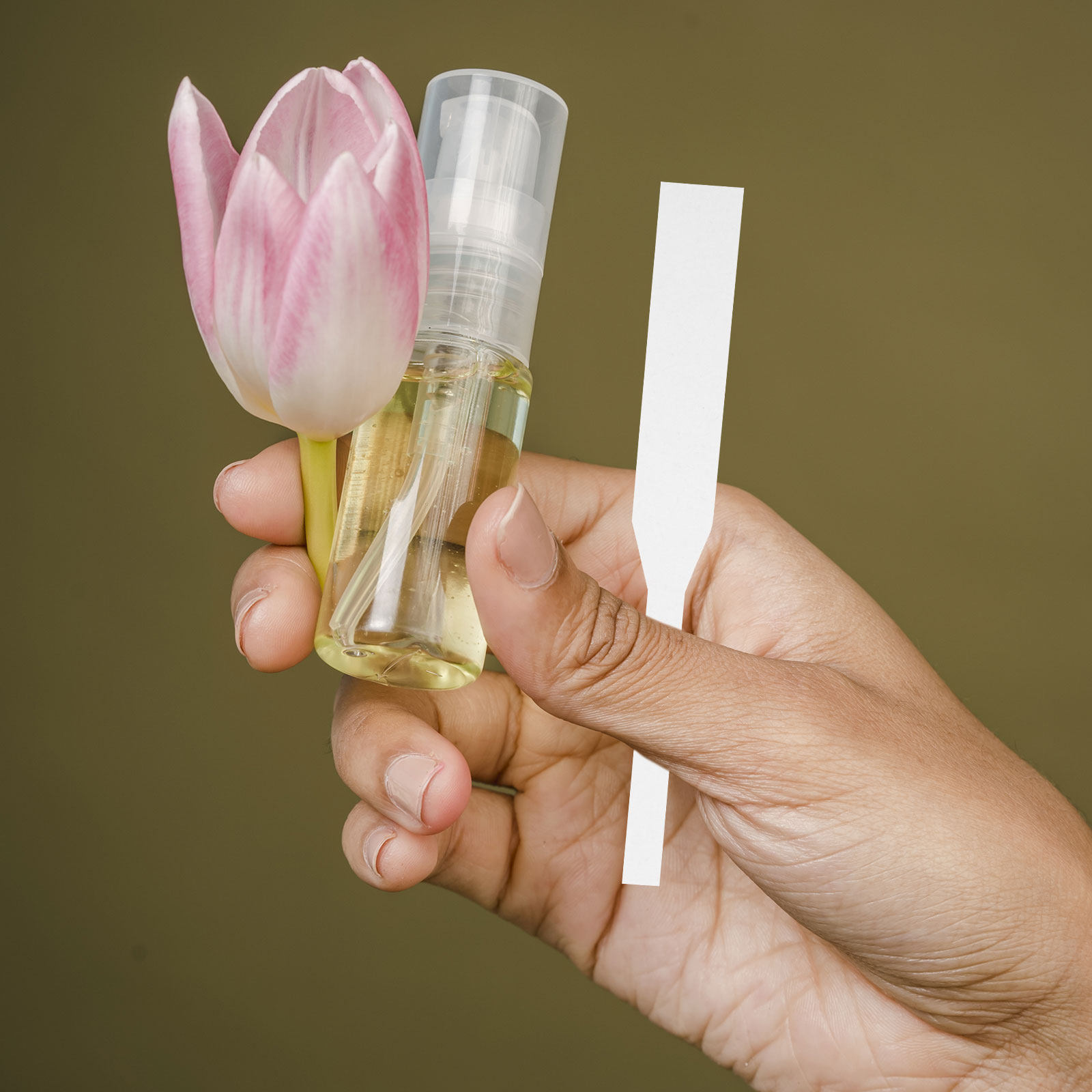 Perfume In Fragrance Shop - 100 Adet Parfüm Test Şeritleri Koku