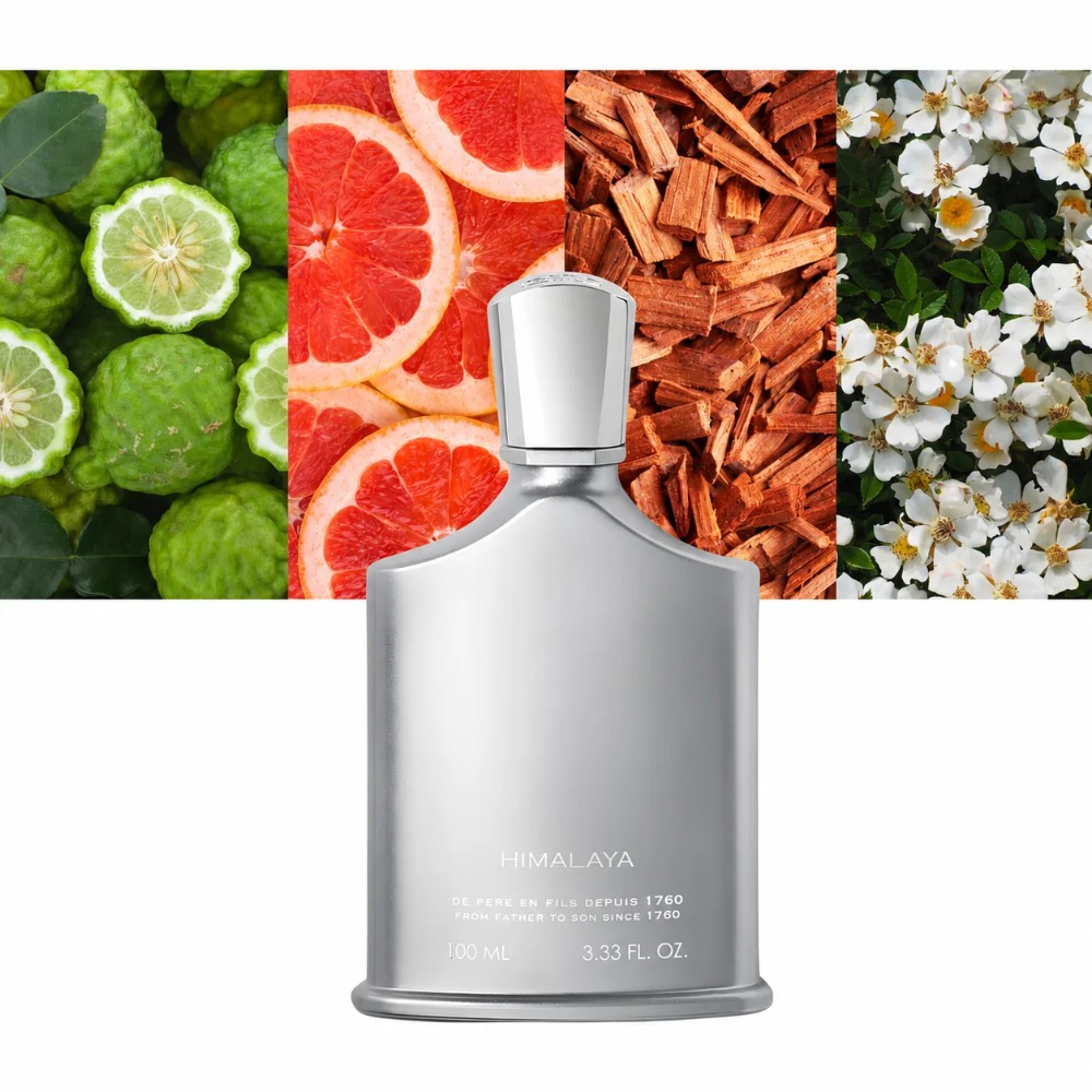 Aventus Erkek Parfümü 100ml ED - Fragrance Cologne And Perfume incelemesi ve fiyatı